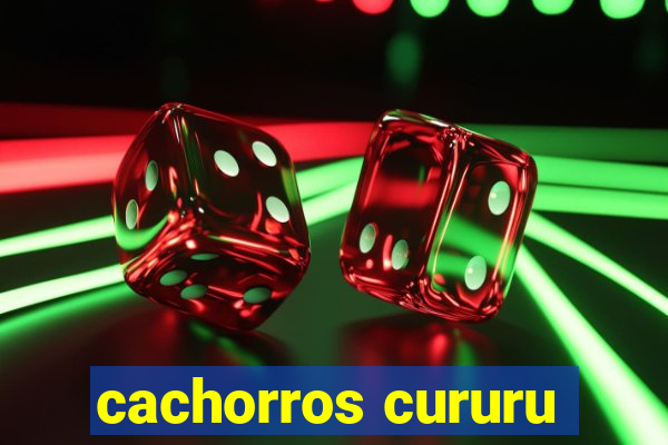 cachorros cururu